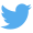 Twitter_logo_blue_30x30